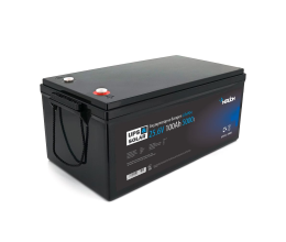 Литий-железо-фосфатный аккумулятор Merlion LiFePO4 25.6V 100AH (8S2P/BMS-100A), (522x238x225), 19kg до 5000 циклов