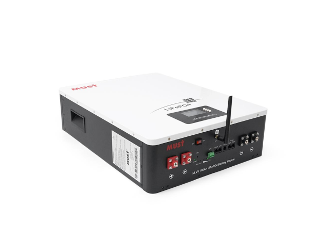 Акумуляторна батарея MUST LP16-48100 LiFePO4 51.2V 100Ah 5.12kWh