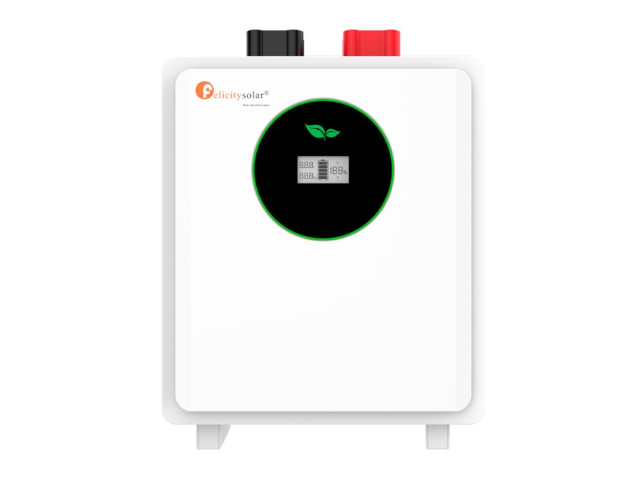 Акумулятор LiFePO4 FelicityESS FLA24100WG2 25,6V 100Ah 2,56 кВт·год, Wi-Fi/Bluetooth, CAN/RS485