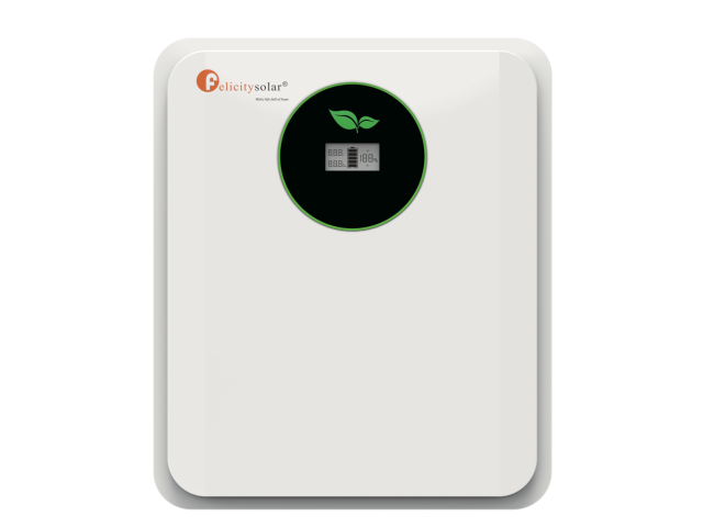 Акумулятор FelicityESS FLA24100-EU LiFePO4 24V 100Ah 2,56 кВт·год, BMS 100/150A, CAN/RS485, 6000 циклів